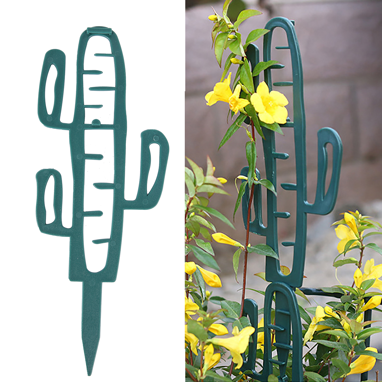Cactus Mix Pot - Plant Climbing Support Stand Flower Fixed