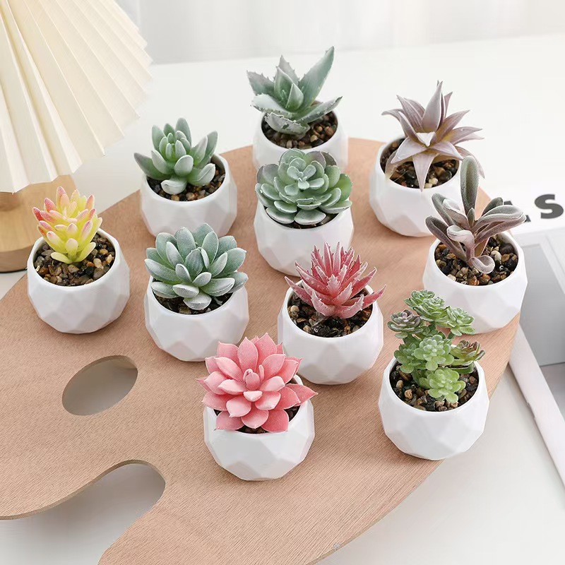 Mini Artificial Plants Simulat - огляд і ціна Cactus Mix Pot
