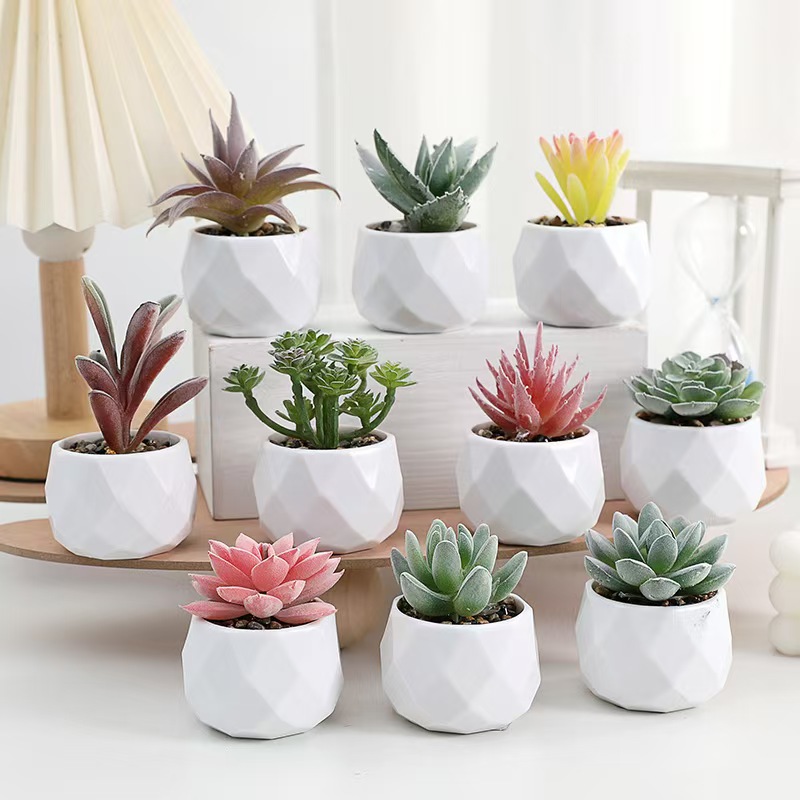 Mini Artificial Plants Simulat - огляд і ціна Cactus Mix Pot