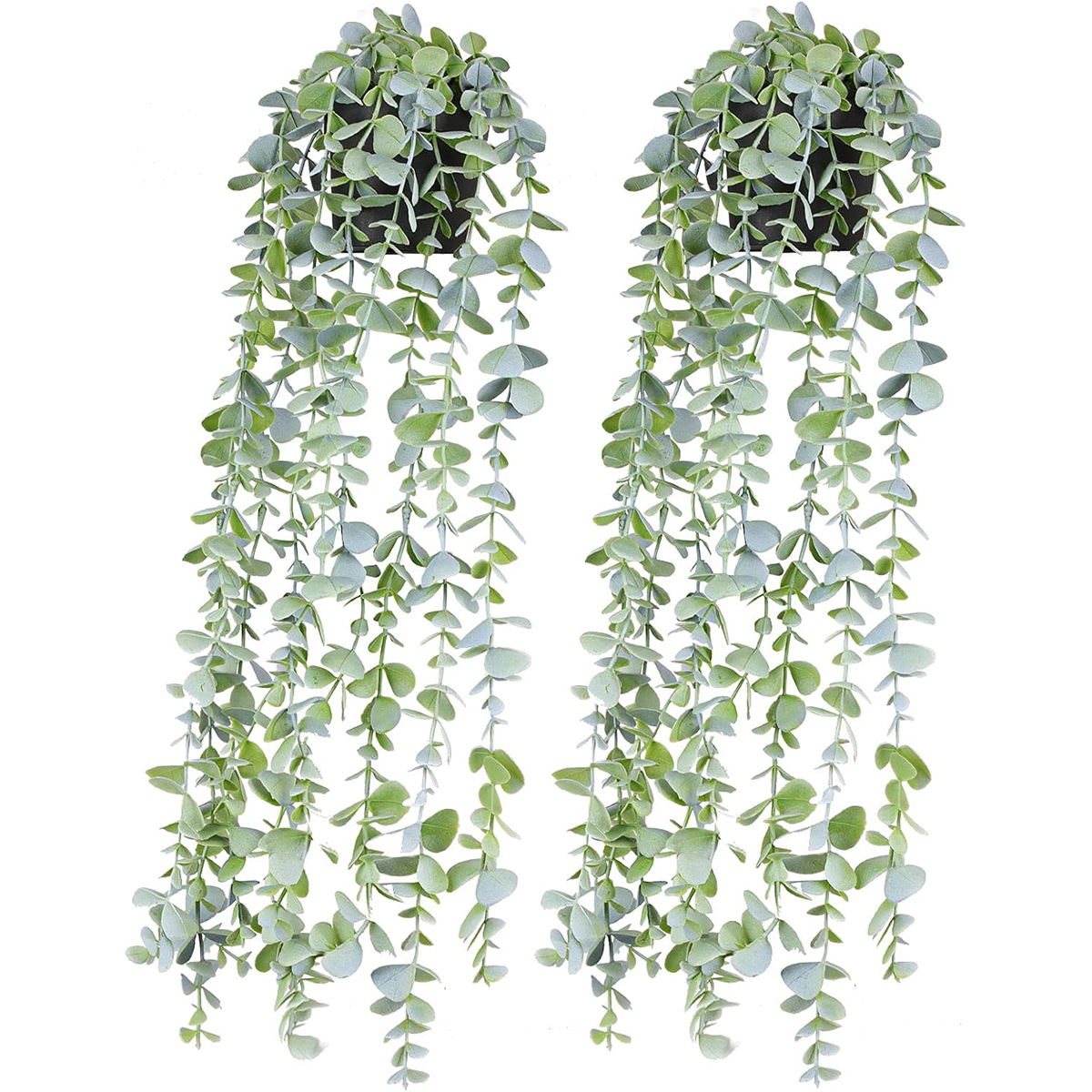 Artificial Ivy Hanging Eucalyp - огляд і ціна String Of Pearls Plant