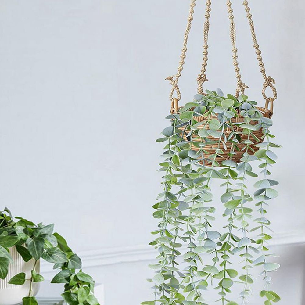 Artificial Ivy Hanging Eucalyp - огляд і ціна String Of Pearls Plant