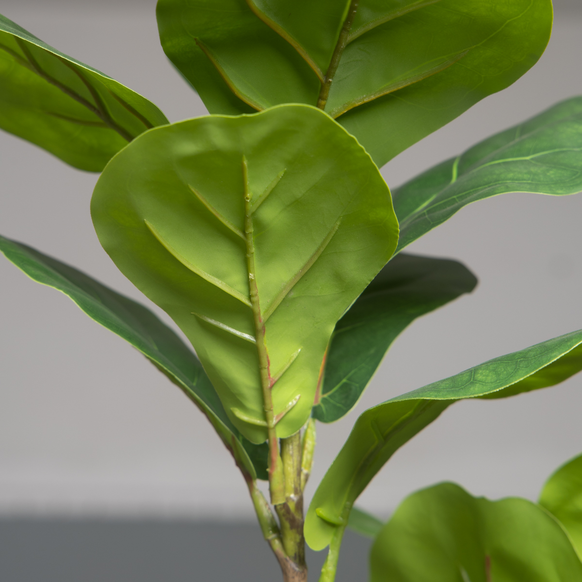 103cm/132cm Artificial Ficus T - огляд і ціна Rubber Plant Ficus