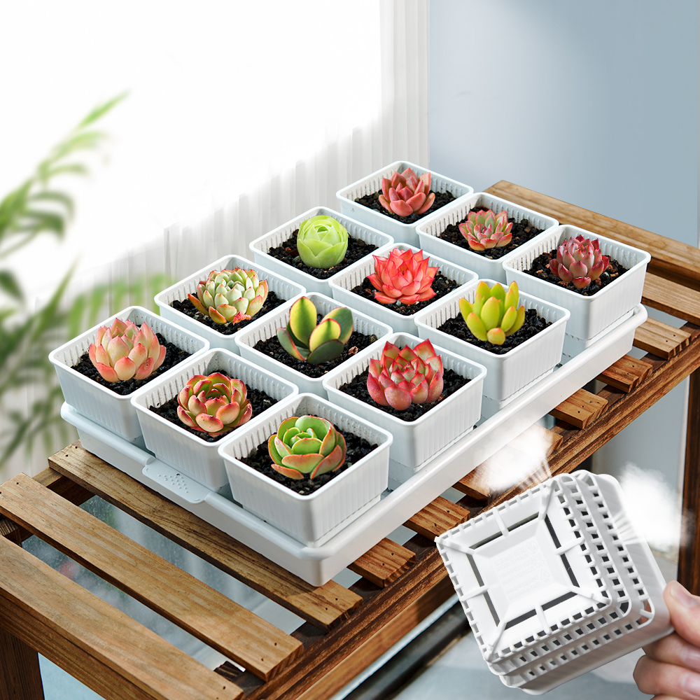 Meshpot Succulent Pot Plastic  - огляд і ціна Cactus Mix Pot