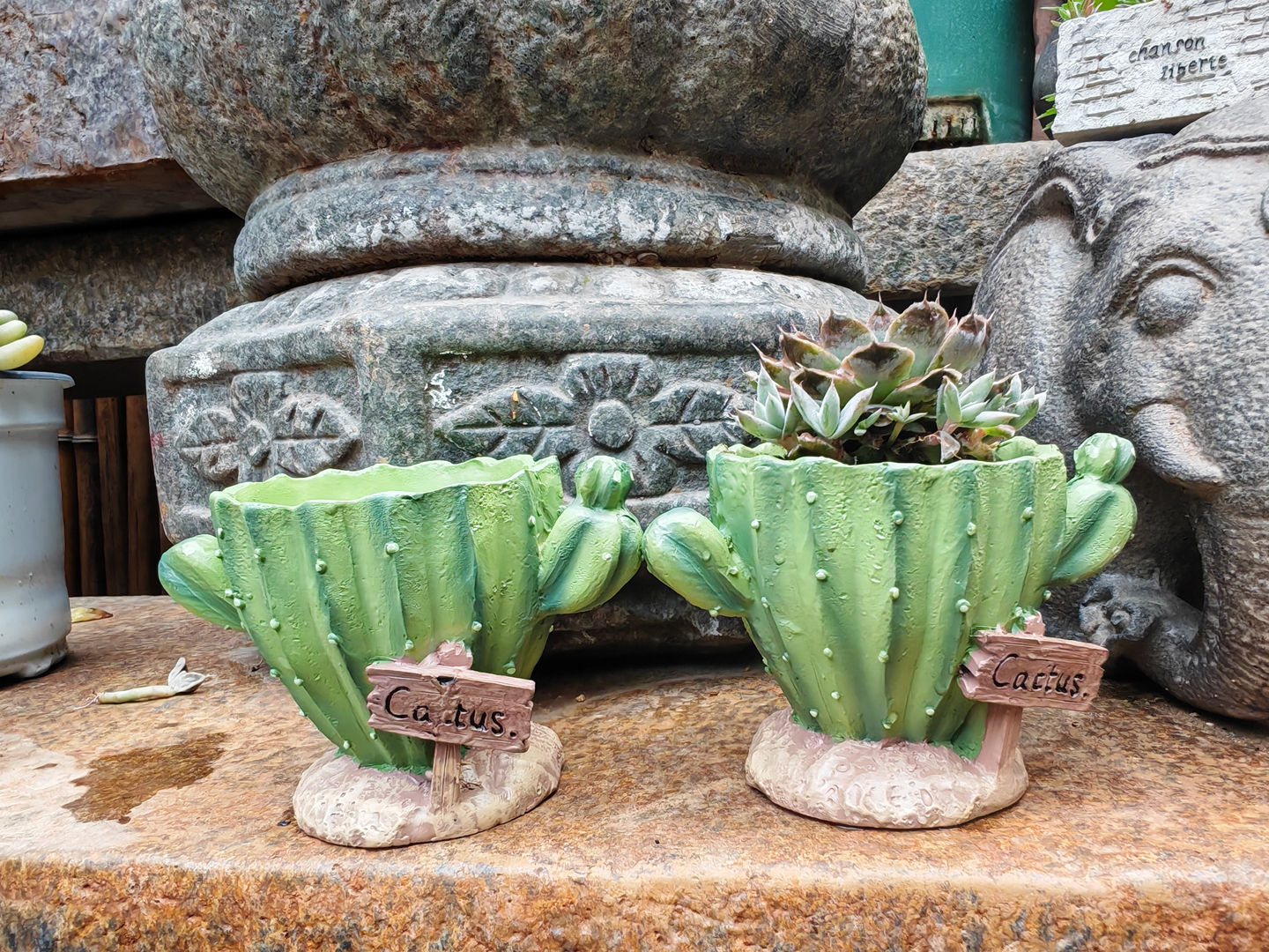 Cactus Flower Planter Pot Cute - огляд і ціна Cactus Mix Pot