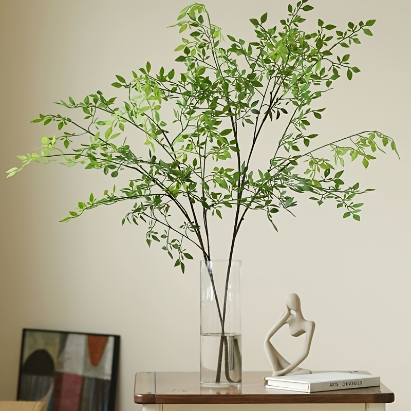 1 Piece, Single Stem, Without  - огляд і ціна Rubber Plant Ficus