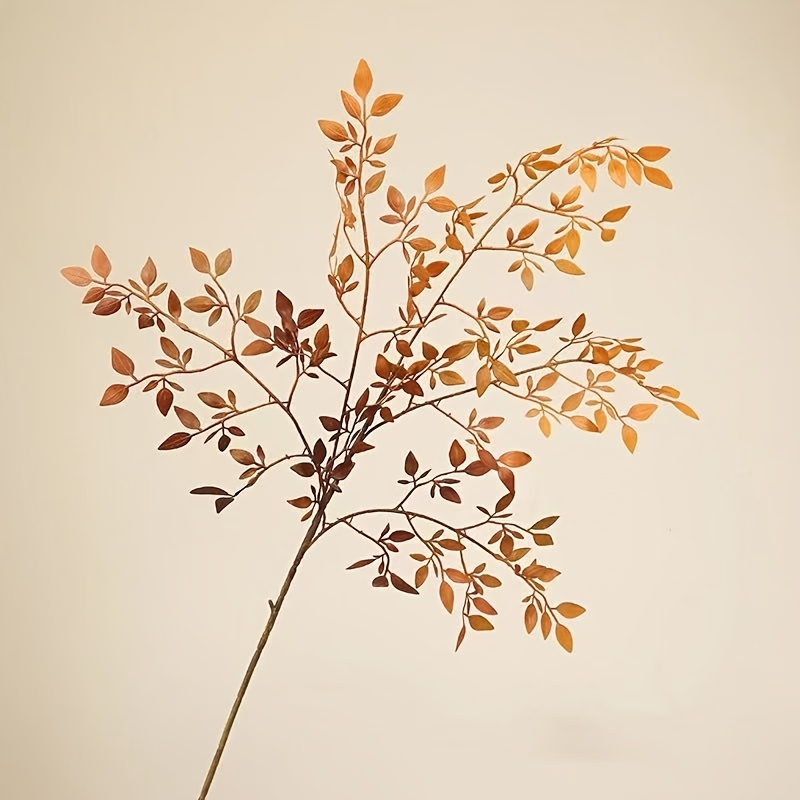 1 Piece, Single Stem, Without  - огляд і ціна Rubber Plant Ficus