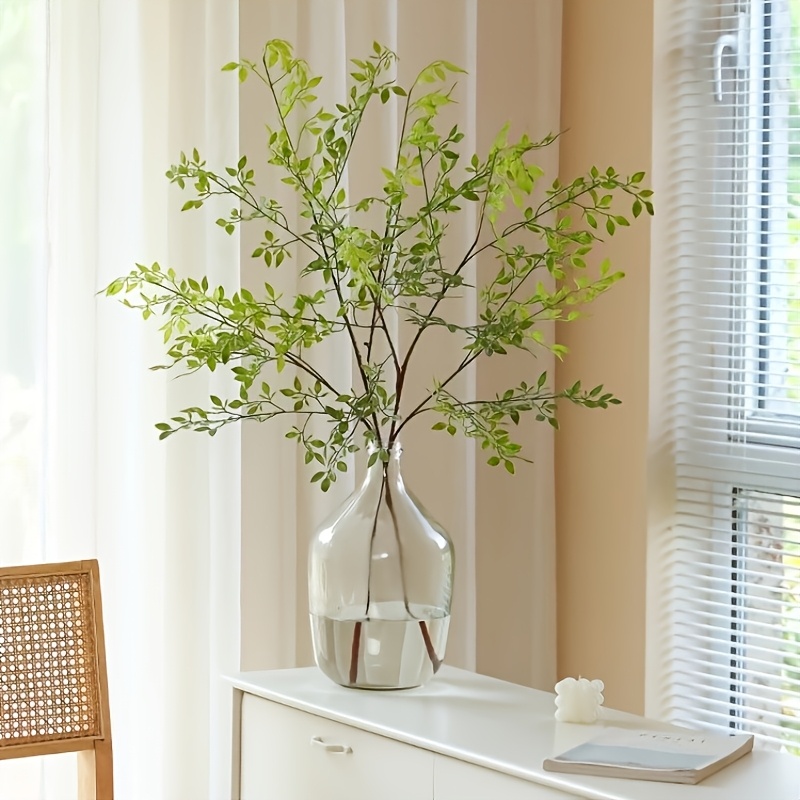 1 Piece, Single Stem, Without  - огляд і ціна Rubber Plant Ficus