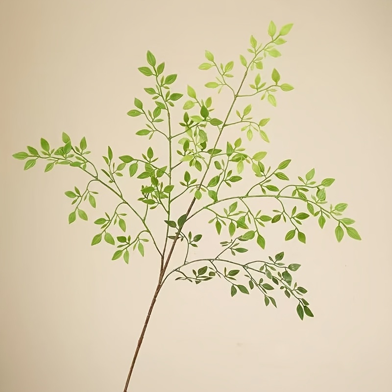 1 Piece, Single Stem, Without  - огляд і ціна Rubber Plant Ficus
