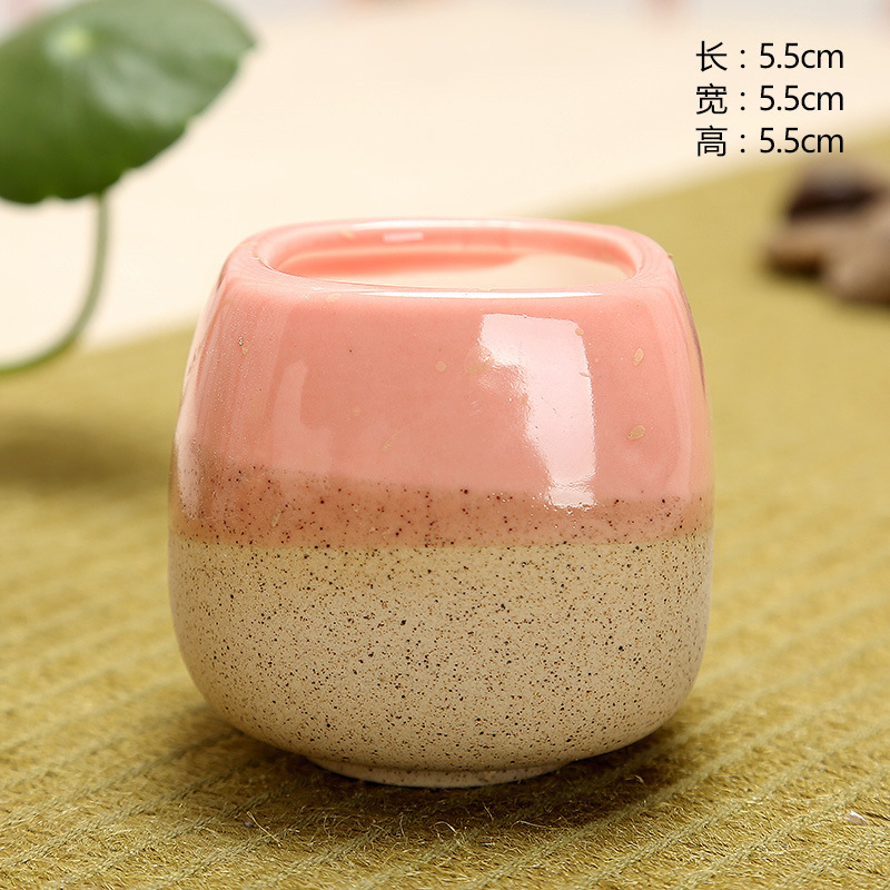 Mini Jelly Shape Cartoon Ceram - огляд і ціна Cactus Mix Pot