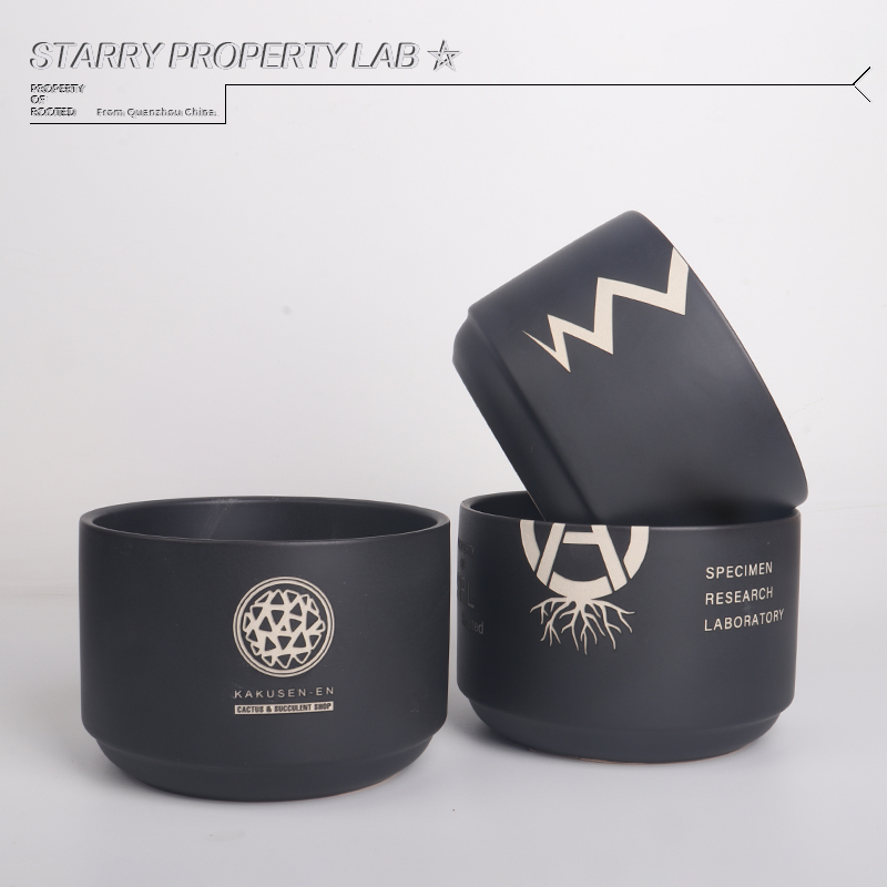 NBHD SRL Trendy Root Plant Flo - огляд і ціна Cactus Mix Pot