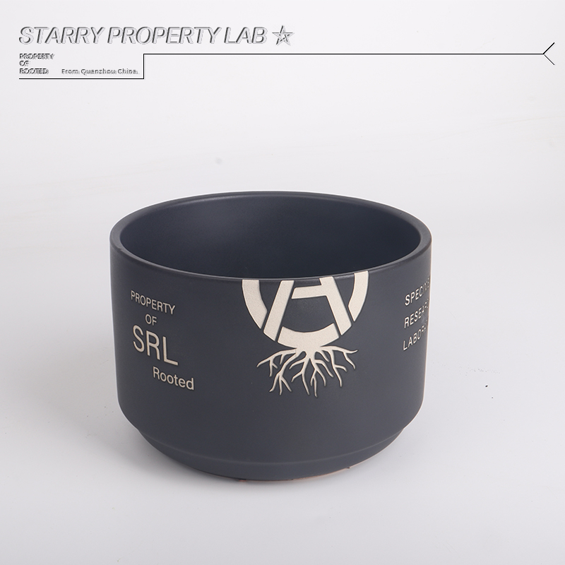 NBHD SRL Trendy Root Plant Flo - огляд і ціна Cactus Mix Pot