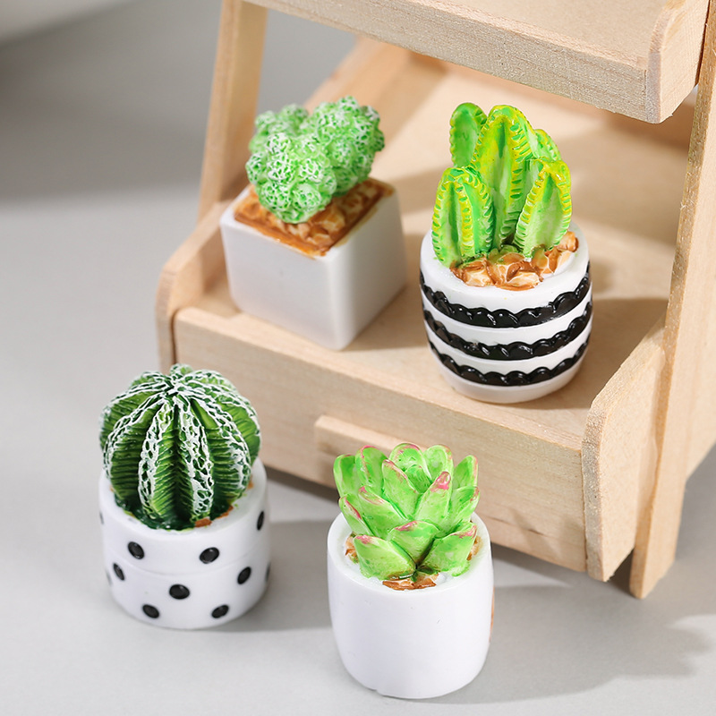 4pcs/Set Of Mini Succulent Pot - огляд і ціна Cactus Mix Pot