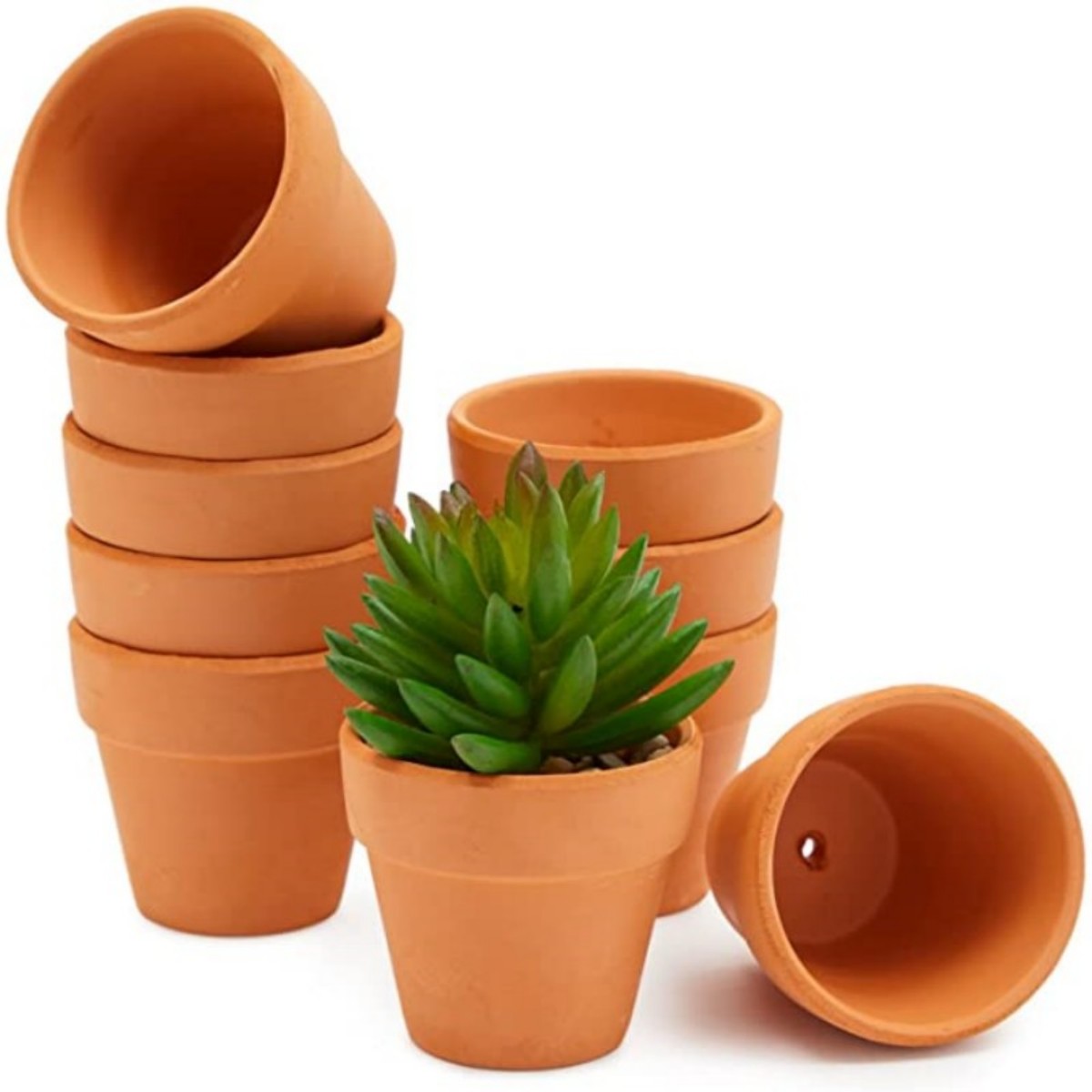 16 Pcs 1.8'' Terra Cotta Pots  - огляд і ціна Cactus Mix Pot