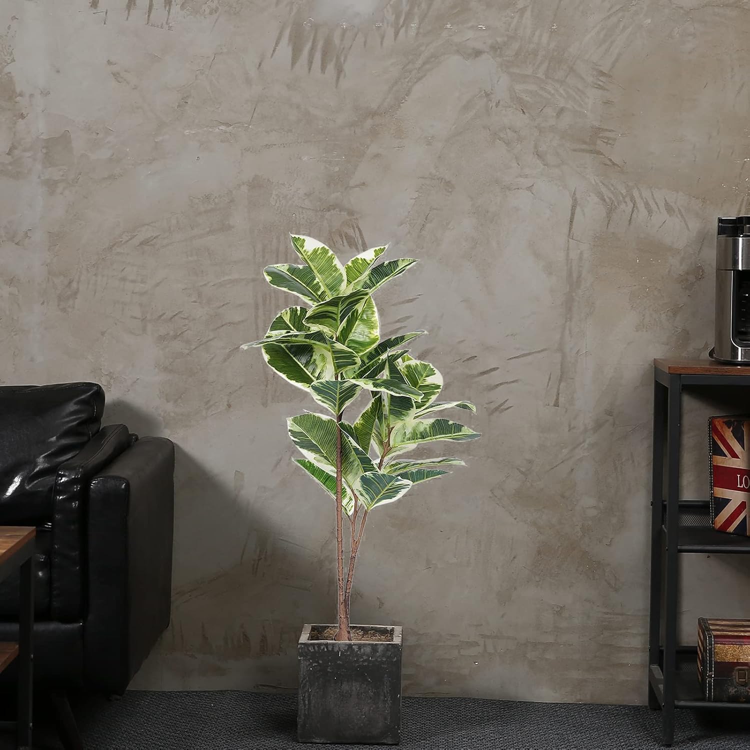 Artificial Rubber Tree Ficus P - огляд і ціна Rubber Plant Ficus