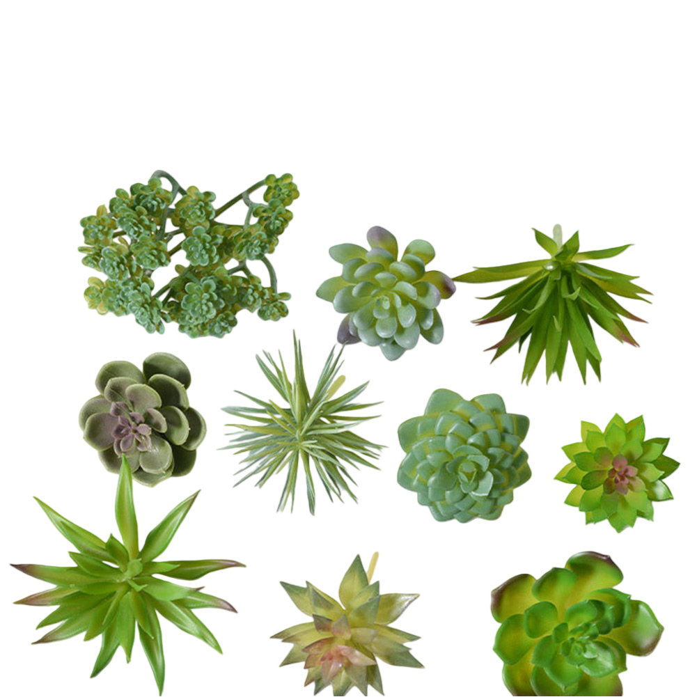 Plastic Based For Mini Bonsai  - огляд і ціна Succulent Arrangement Mini
