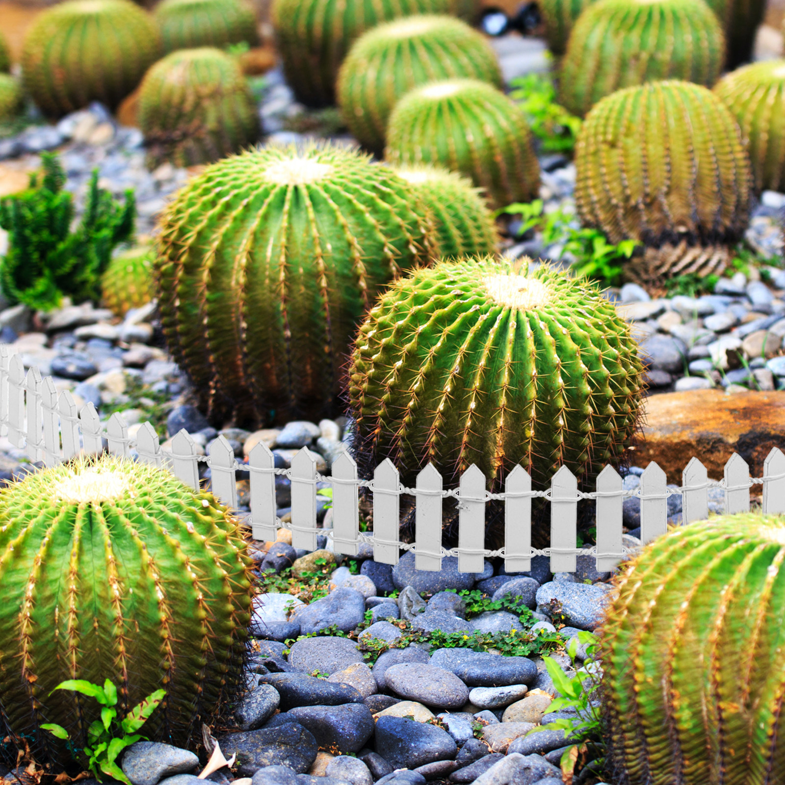 Wood Mini Fence for Flower Pot - огляд і ціна Succulent Arrangement Mini