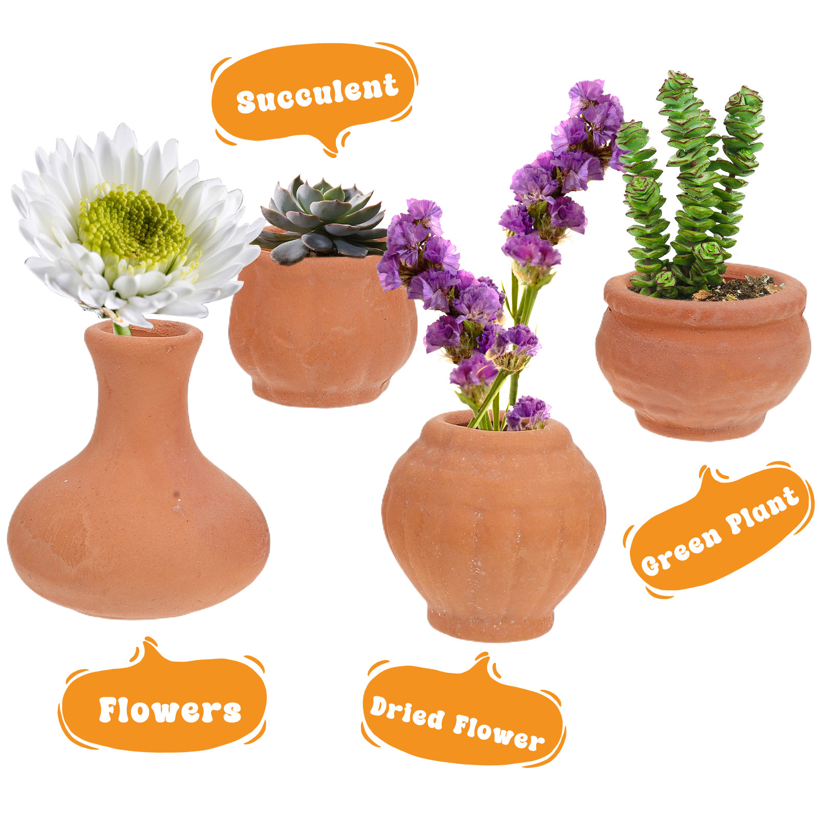 4Pcs Mini Red Terracotta Pots  - огляд і ціна Succulent Arrangement Mini