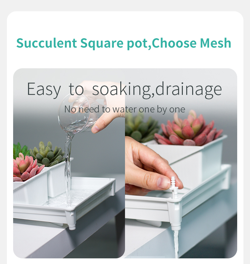 Meshpot Succulent Pot Set Cact - огляд і ціна Cactus Mix Pot