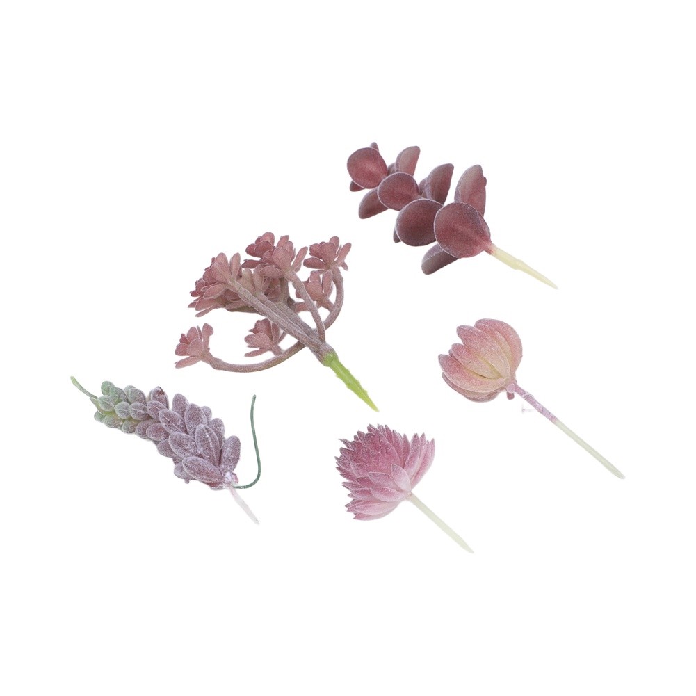 Low Upkeep For Mini Bonsai Suc - огляд і ціна Succulent Arrangement Mini