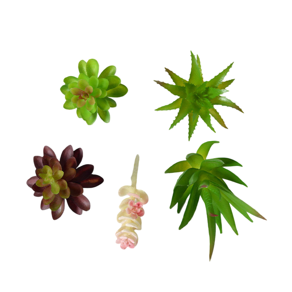 Low Upkeep For Mini Bonsai Suc - огляд і ціна Succulent Arrangement Mini