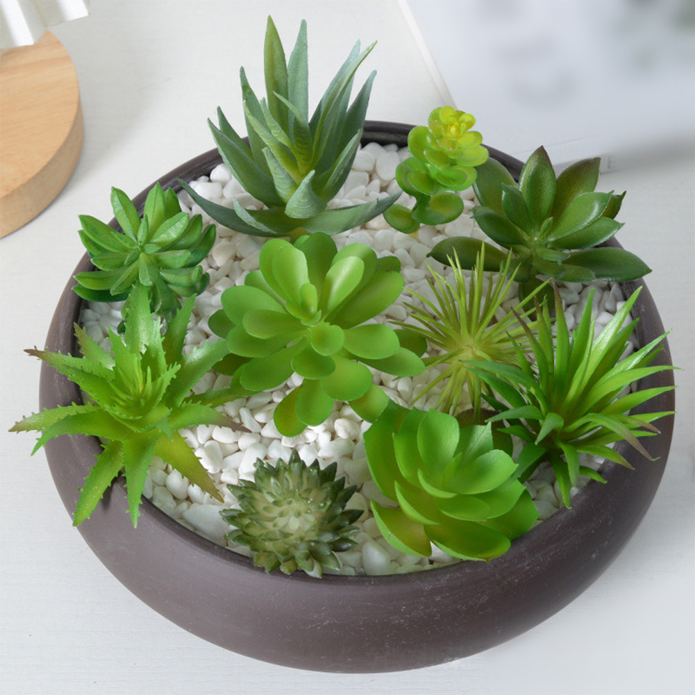 For Mini Bonsai Artificial Suc - огляд і ціна Succulent Arrangement Mini