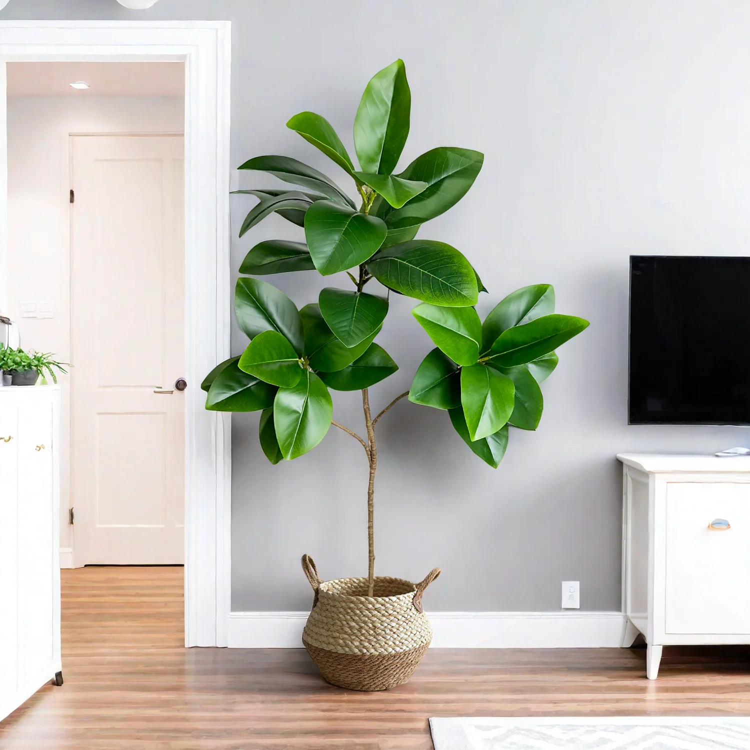 70/135cm Artificial Ficus Tree - огляд і ціна Rubber Plant Ficus