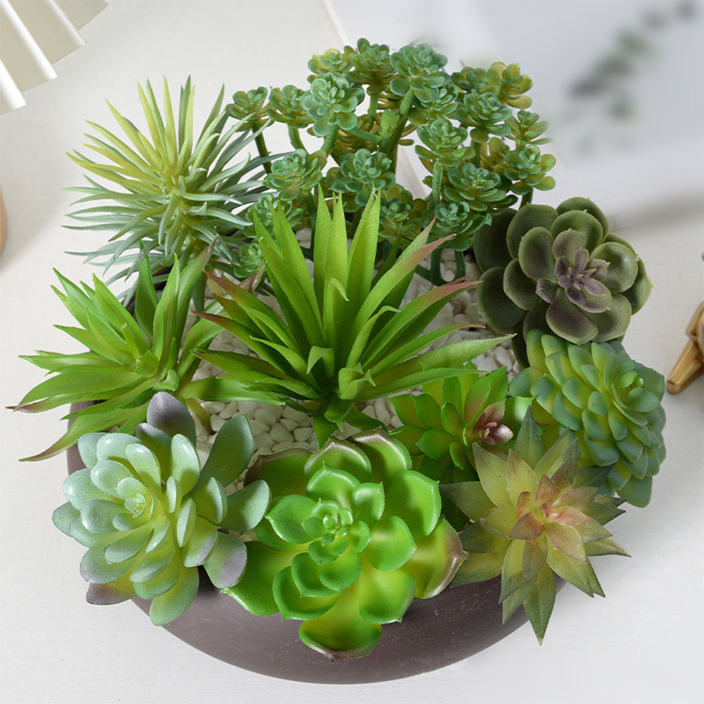 Photography Prop Friendly For  - огляд і ціна Succulent Arrangement Mini