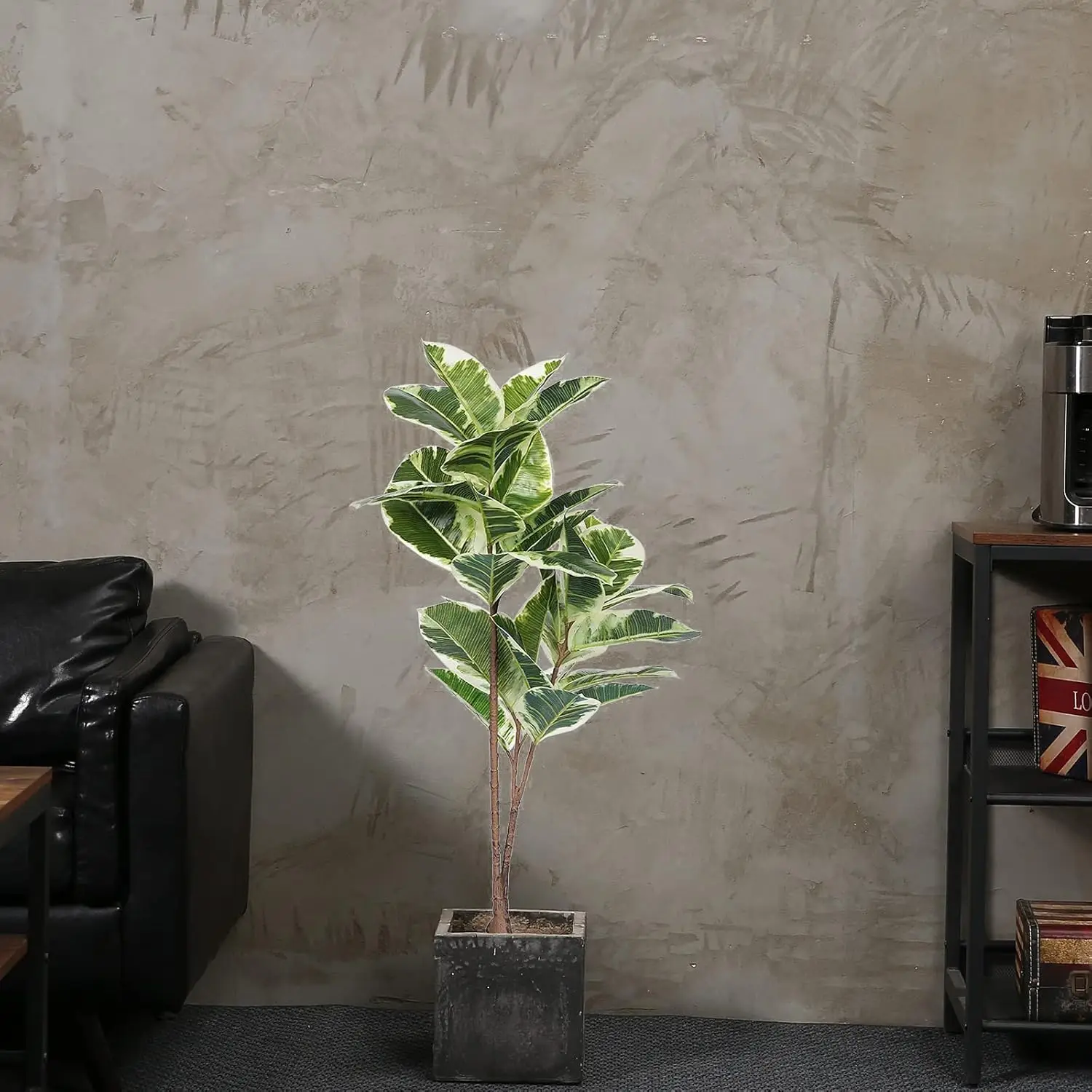 Artificial Rubber Tree Ficus P - огляд і ціна Rubber Plant Ficus
