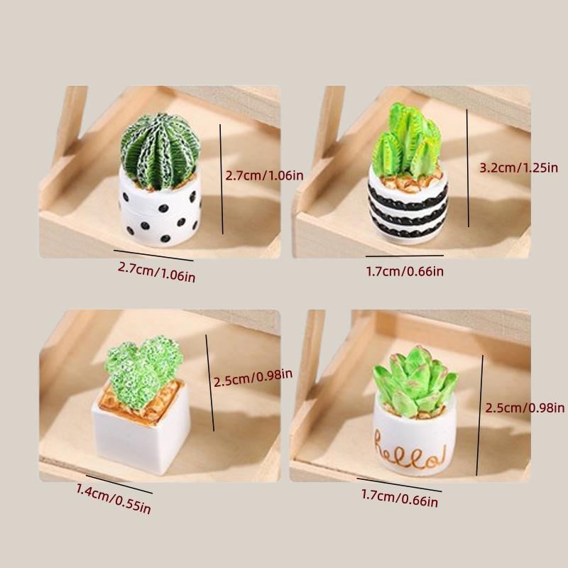 4-Piece Set of Cactus Succulen - огляд і ціна Cactus Mix Pot