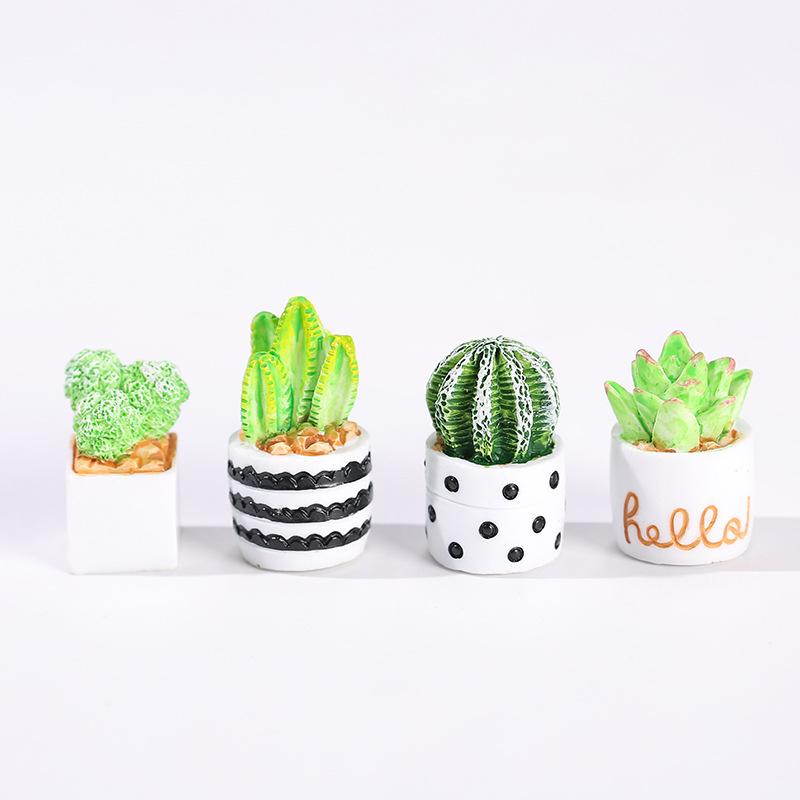4-Piece Set of Cactus Succulen - огляд і ціна Cactus Mix Pot