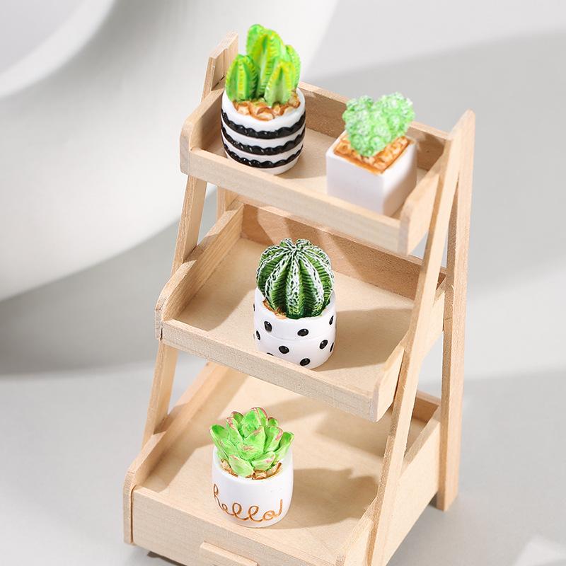 4-Piece Set of Cactus Succulen - огляд і ціна Cactus Mix Pot