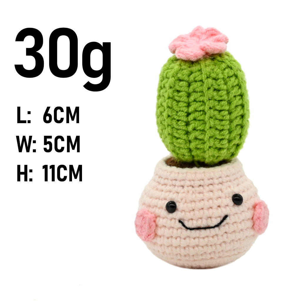 PlantSeries Positive Energy Cr - огляд і ціна Cactus Mix Pot