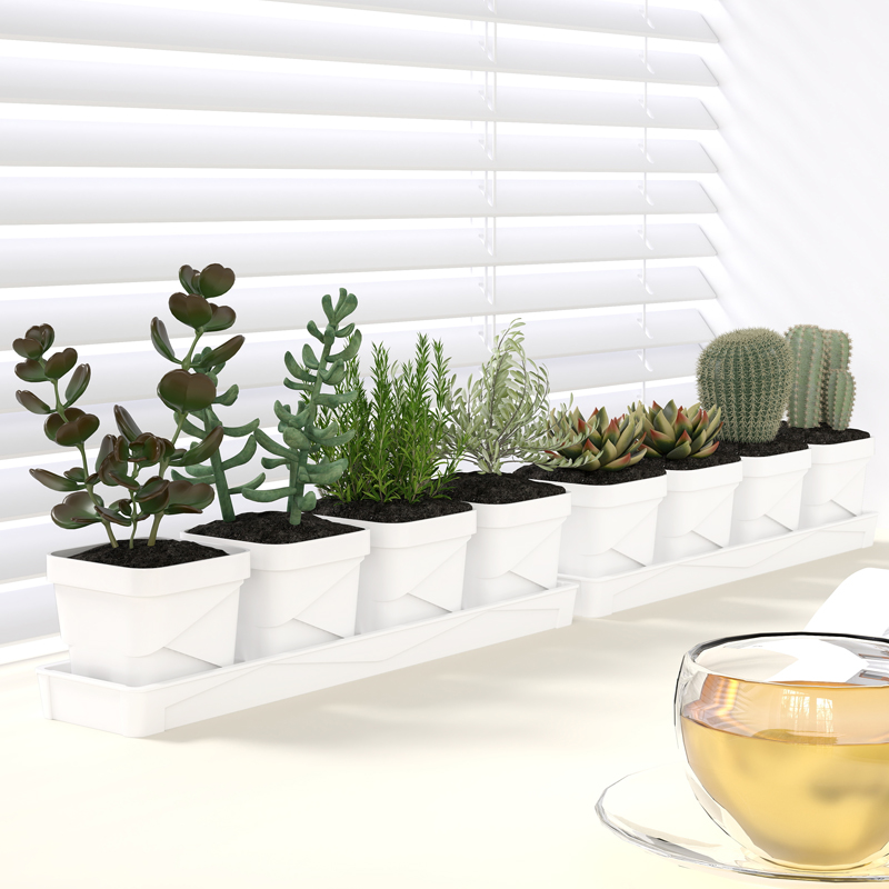 Nordic Minimalist Succulent Po - огляд і ціна Cactus Mix Pot