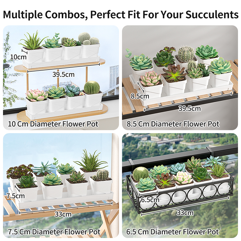 Nordic Minimalist Succulent Po - огляд і ціна Cactus Mix Pot