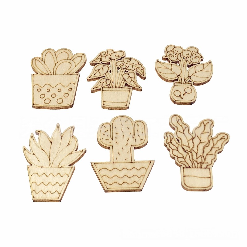 50PCS Mixed Styles Flower Cact - огляд і ціна Cactus Mix Pot